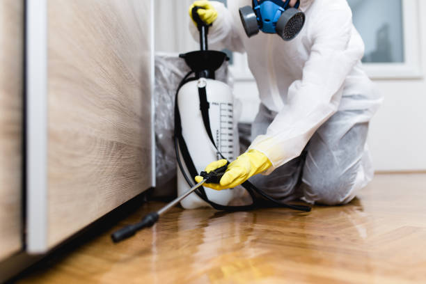 Best Residential Pest Control  in Ovid, MI