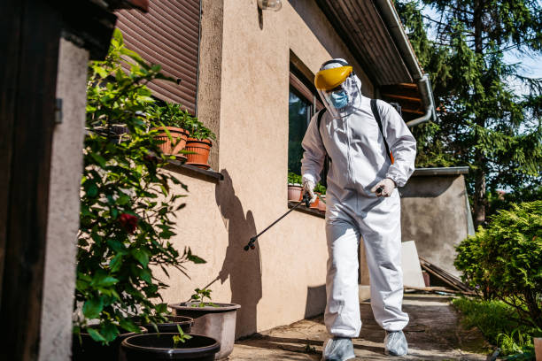 Best Termite Control Services  in Ovid, MI