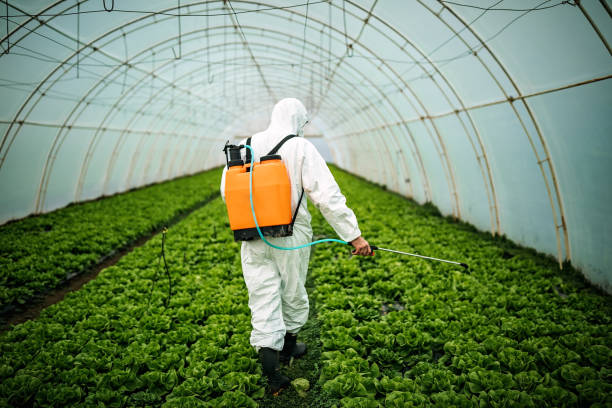 Best Best Pest Control Companies  in Ovid, MI
