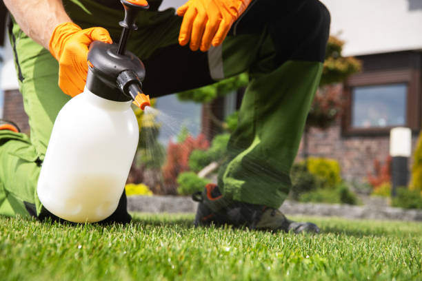 Best Mosquito Control Services  in Ovid, MI