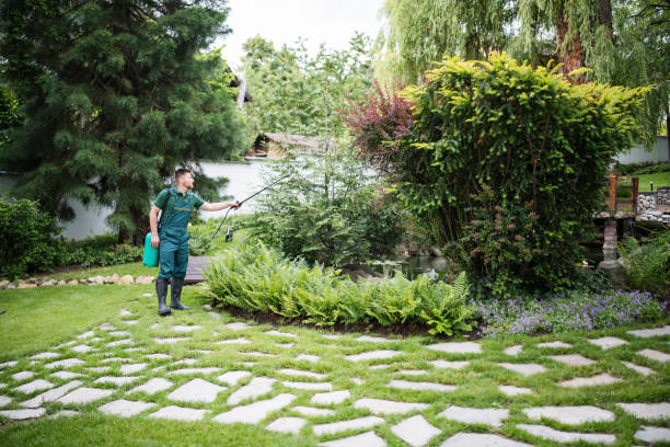 Best Pest Control for Restaurants  in Ovid, MI