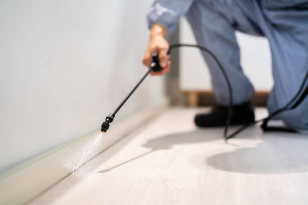Best Pest Removal Services  in Ovid, MI