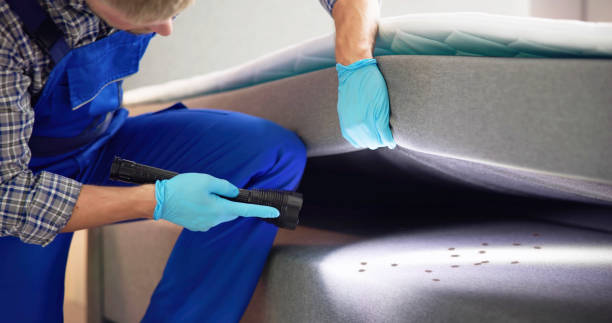 Best Pest Control Treatment  in Ovid, MI