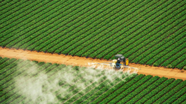 Best Ant Control Services  in Ovid, MI