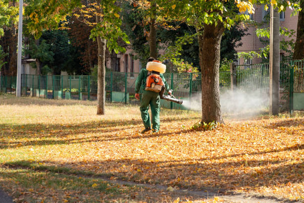 Best Best Pest Control Companies  in Ovid, MI