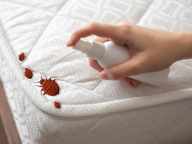 Best Pest Control Near Me  in Ovid, MI