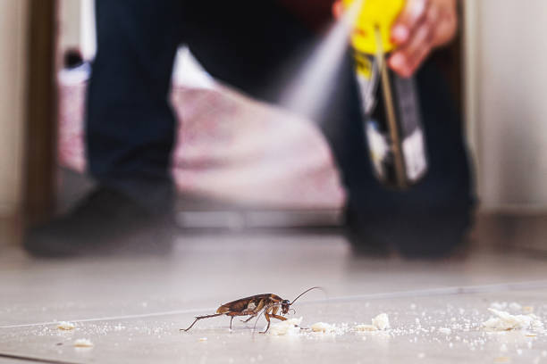 Best Affordable Pest Control Services  in Ovid, MI