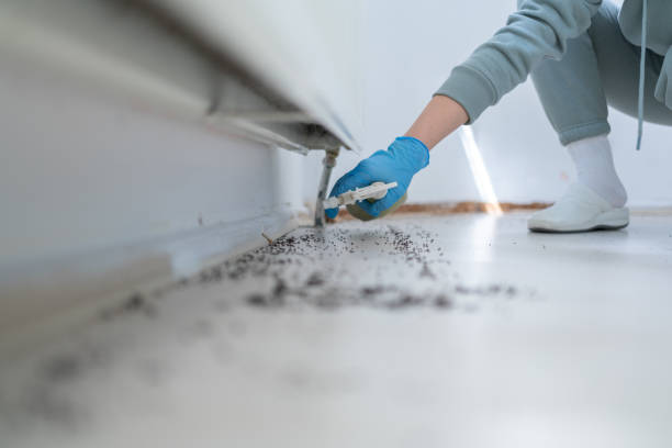 Best Exterminator Services  in Ovid, MI