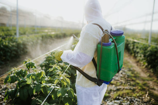 Best Bed Bug Extermination  in Ovid, MI